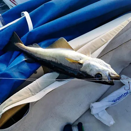 10 Person In Stathelle-by Traum Holiday home *