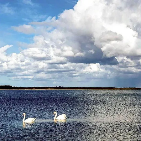 Holiday home 10 Person In Stathelle-by Traum Stathelle